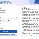 Hướng dẫn xem kết quả trúng tuyển và xác nhận nhập học trực tuyến 2026